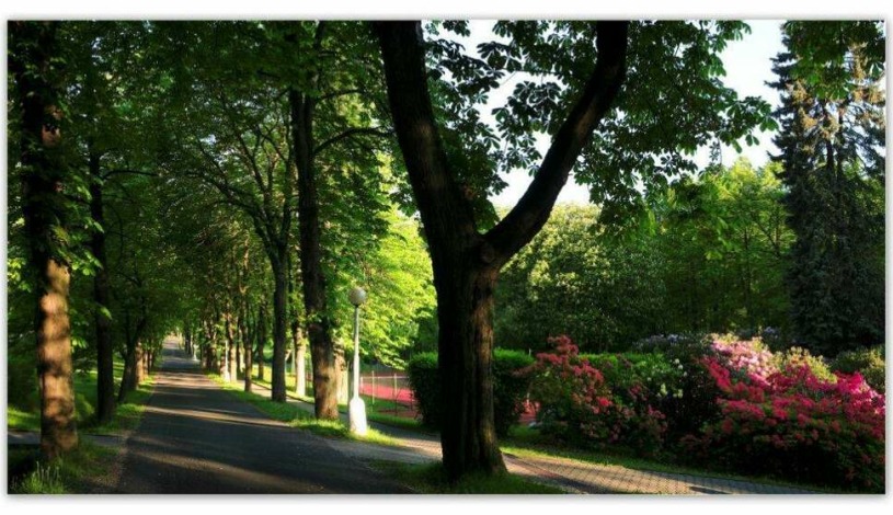 Hotel Haná Mariánské Lázně